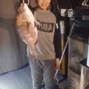 안양바다낚시터 이미지