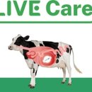 유라이크 이미지