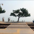 정동진역 앞