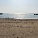 대천
