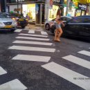 뉴코아아울렛 앞 횡단보도 이미지