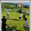 멍멍이천국 이미지