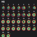 숲속마을지혜민학교 | 내돈내산 숲속의 다이어트캠프 100일의 기록