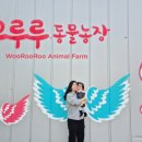 청성농장 이미지