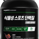 베가빌