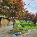 홍천단아독채펜션 이미지