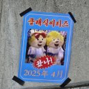 [ 대구/삼성라이온즈파크 ] 삼성 vs 부산 0420 1루 SKY상단 U-6구역 클래식 시리즈 후기