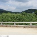 지사면사무소 이미지