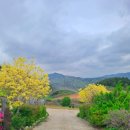 경남용추민박 이미지