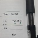 Glottal stop 질문드립니다. 이미지
