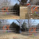 갈천초등학교 이미지