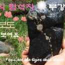 부강 이미지