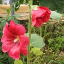 승준농장 이미지