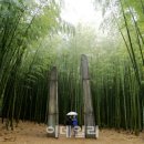 바람소리새소리 네이버블로그