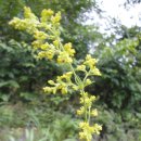 방축농장 이미지