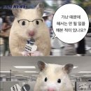 신대2길 이미지