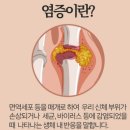 체온테라피 이미지