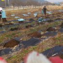 동원농장 2 이미지