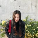 한가을 카카오 검색결과