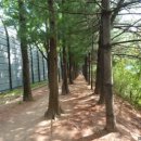 장지약수터 이미지