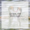 신세계한방병원 이미지