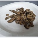 마디로한의원 이미지