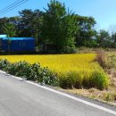 면천농협하나로마트 이미지