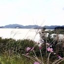 와수로 이미지