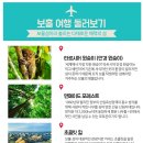 필리핀의 아름다운 휴양지 “보홀" 내취향대로 고르는 세미팩 or 반자유팩 이미지