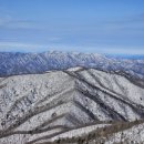 오대산 달빛 이미지