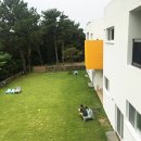 제주아이니 이미지