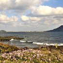 자구리해안 이미지