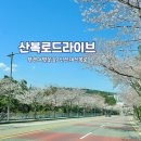 신선대산복로 이미지