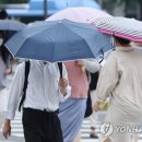 소나기