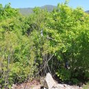 기룡산정상 이미지