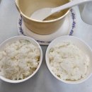 우리 | 칼로볼 저당밥솥이 바꾸는 우리의 식탁, 후기와 사용방법