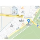 강서 낙동강30리 벚꽃축제(2025년) 이미지