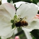 텃골농장 이미지