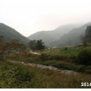 기린초등학교진동분교장 이미지