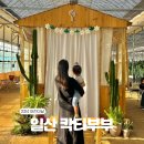 송사농장 | 2024 어린이날 가볼 만한 곳 경기도 일산 칵티부부 대형 선인장 카페 모래놀이 에어바운스