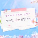 오지숙