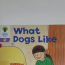 what Dogs like 이미지