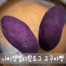 델리캣 | 나비캣델리핫도그 구황작물빵 고구마빵 간식으로 딱! 든든하고 맛있어