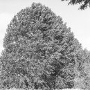 억새풀농장 이미지