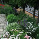 살바토레펜션 이미지