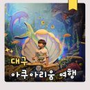 기차여행 | 대구 아쿠아리움 동대구역 당일 기차여행 후기