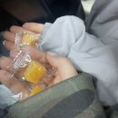 민이네야식 | 우리는 포기를 모르는 조사병단이니까