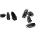 [영업] 일광교통 이미지