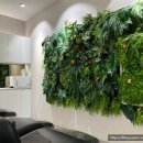 현대바로클리닉 이미지