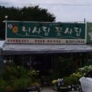 난사랑꽃사랑